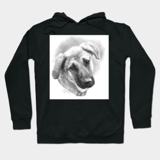 Puppy - Mixed Breed - Dog Illustration Hoodie
